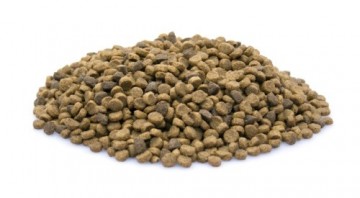 Brokken   155   super premium puppy 0