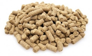 Brokken   super premium excellent salmon  rice 0